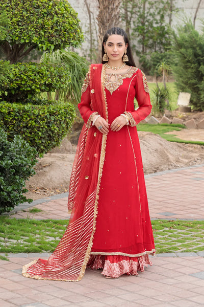 Hand Embroidered | Z-303 Red | Bridal Wear