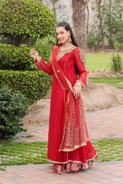 Hand Embroidered | Z-303 Red | Bridal Wear