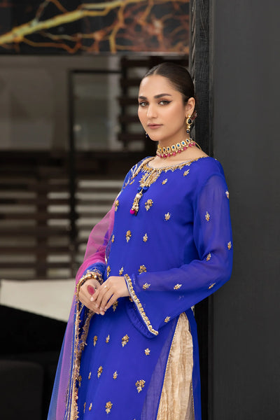 Hand Embroidered | Z-295 | BLUE