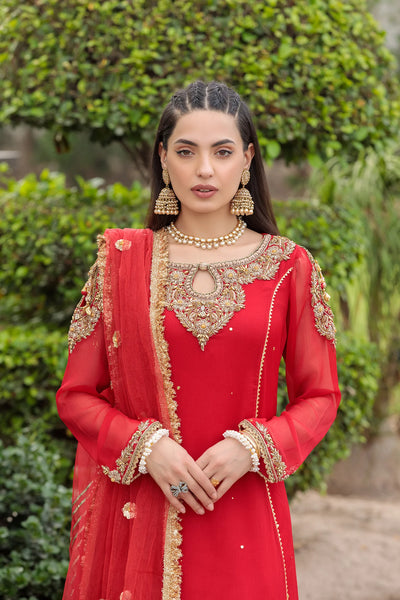 Hand Embroidered | Z-303 Red | Bridal Wear