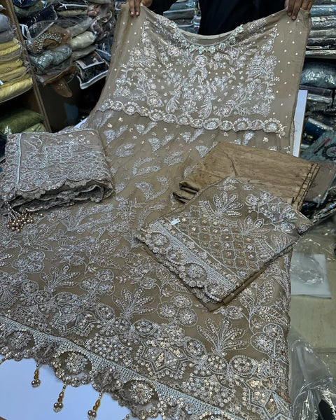Embroidered Chiffon Design - 22