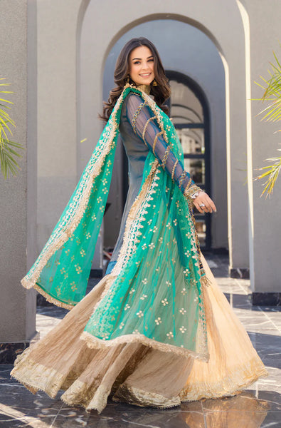 Hand Embroidered | Z-281 | Bridal Wear