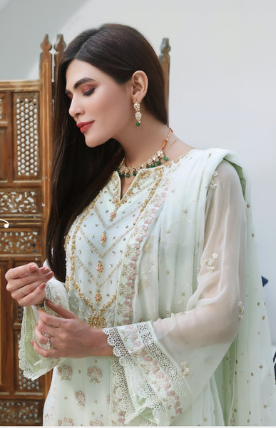 Agha Noor Chiffon