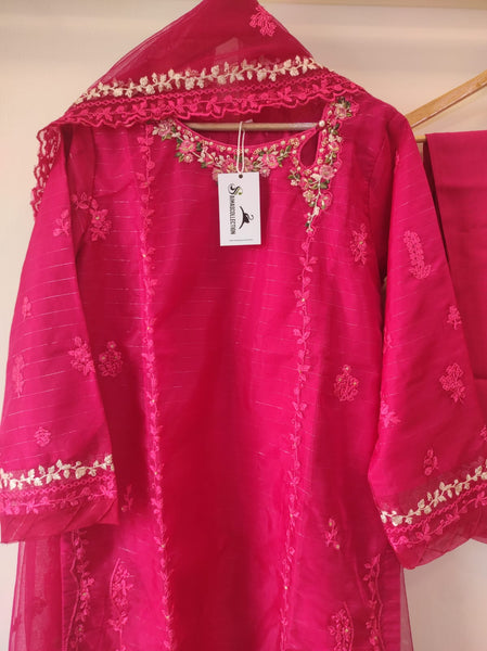Organza party wear (R 1095 A)