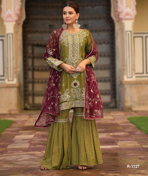 Organza party wear (R-1127)