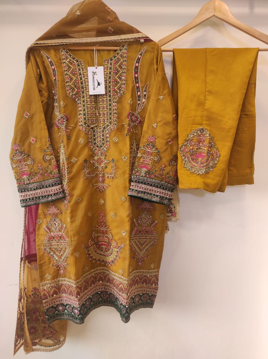 Organza party wear (R-1150 A)