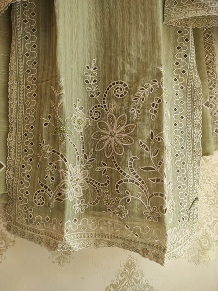 Organza party wear | Olive