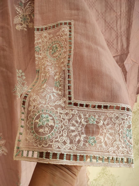 Organza party wear | Peach