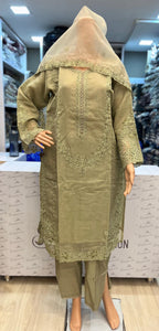 Organza party wear | Pista