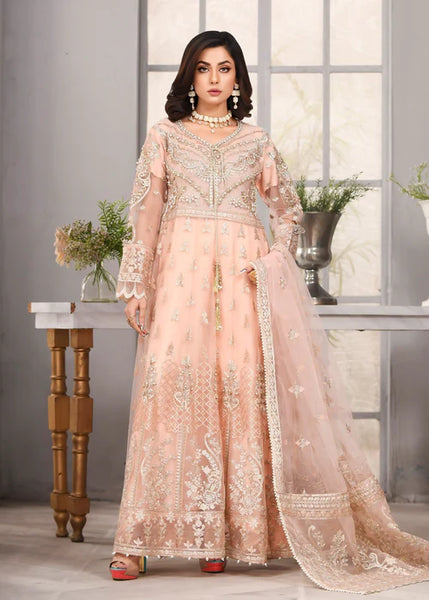 Light Peach Kalidaar | RTW