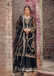 Black Orchid Majesty