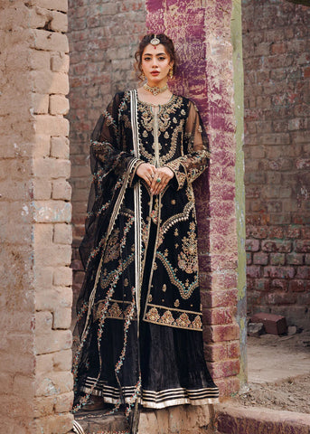 Black Orchid Majesty