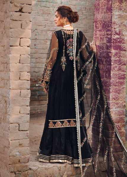 Black Orchid Majesty