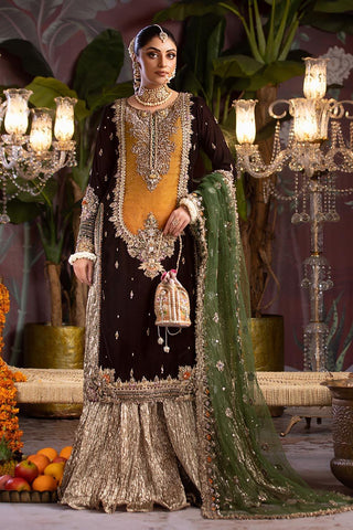 ZARI VELOUR | P-265 | VELVET ENSEMBLE