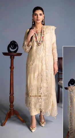 Embroidered Chiffon Design - 04