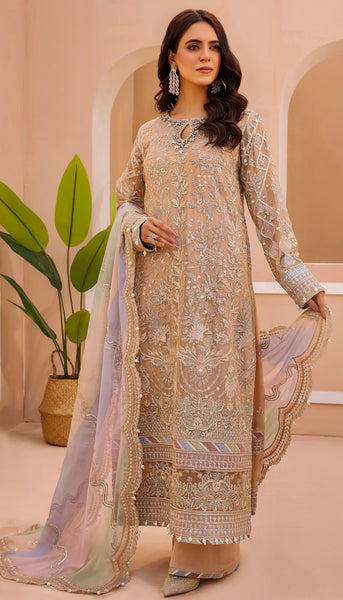 Embroidered Chiffon Design - 18