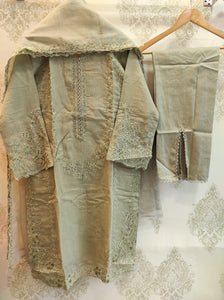 Organza party wear | Pista