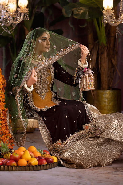 ZARI VELOUR | P-265 | VELVET ENSEMBLE