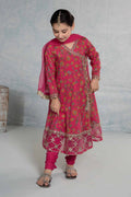 3 Piece Printed Cotton Suit | MKD-EF24-28