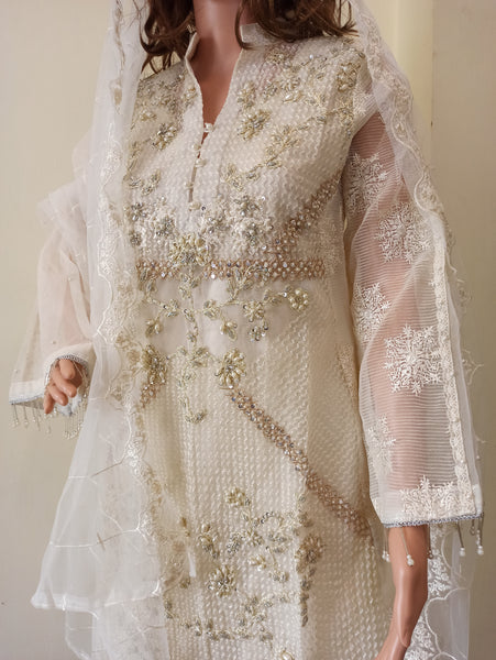 Designer Pakistani Frock